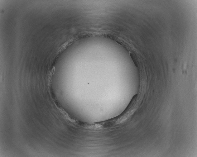 X0000085250576200703090951