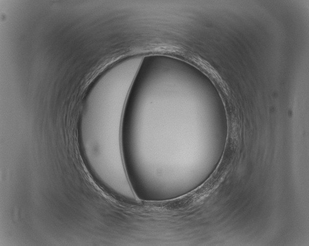 X0000085250577200703090950