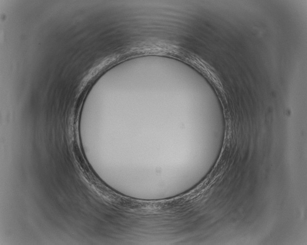 X0000085250578200703090950