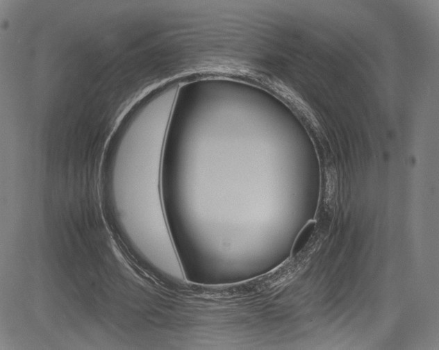 X0000085250580200703090950