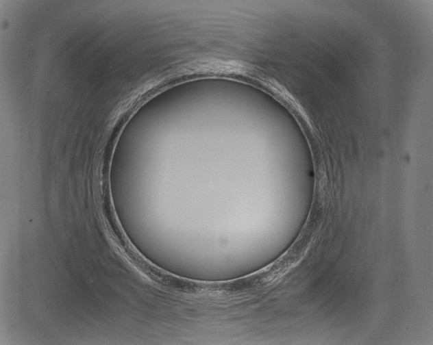 X0000085250581200703090950