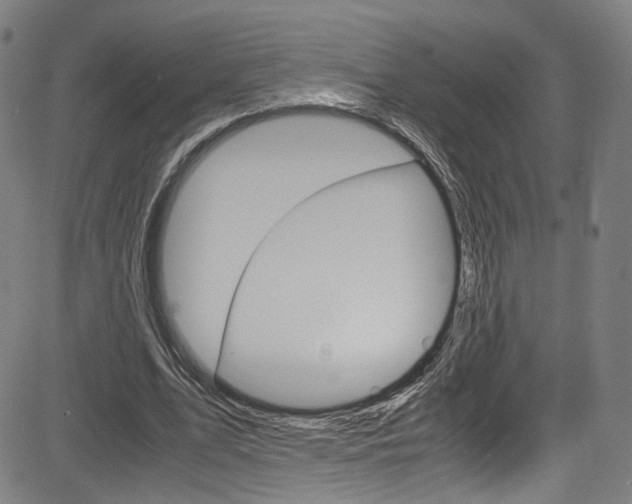 X0000085250583200703090950