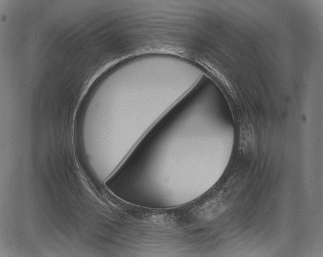 X0000085250584200703090950