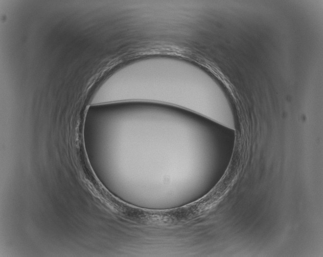 X0000085250585200703090950