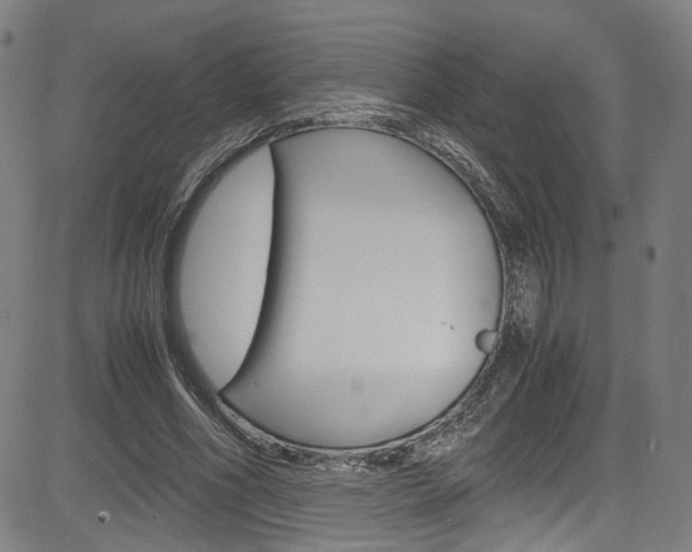 X0000085250586200703090950