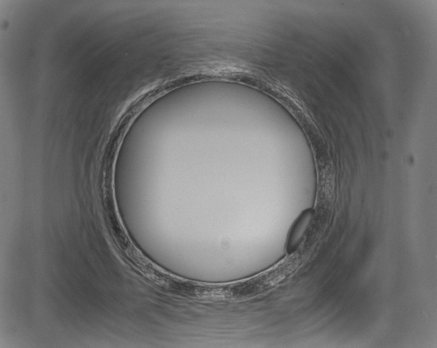 X0000085250587200703090950