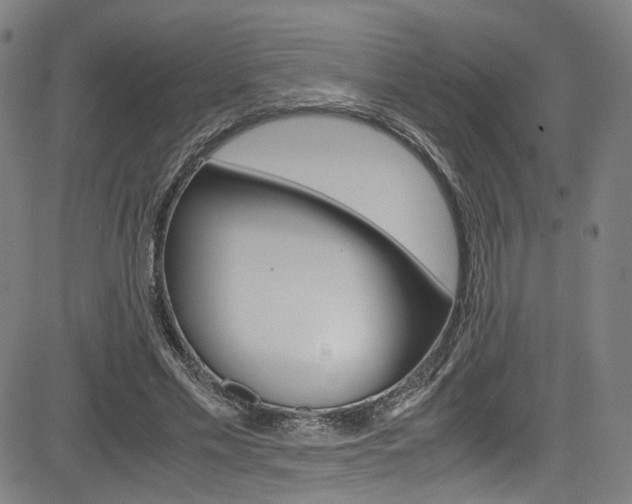 X0000085250589200703090950