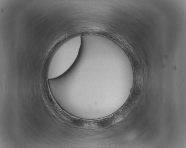 X0000085250591200703090950