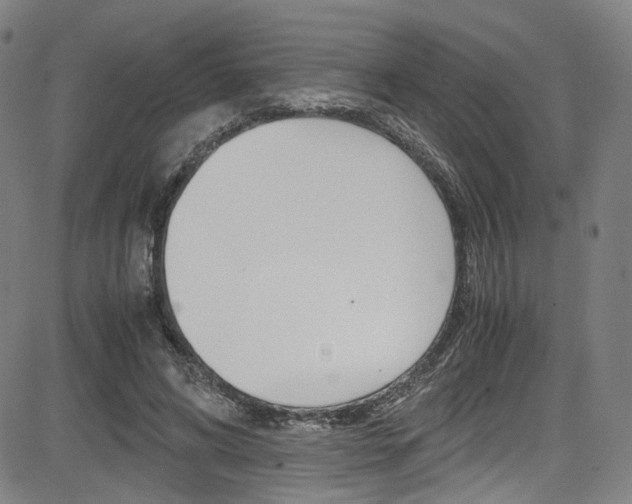 X0000085250592200703090950