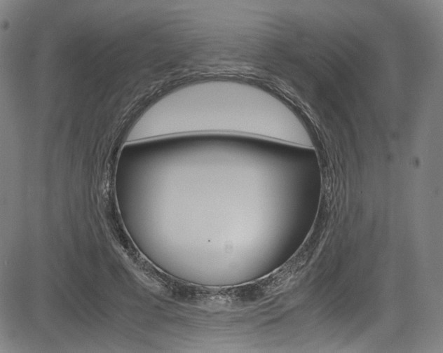 X0000085250593200703090949