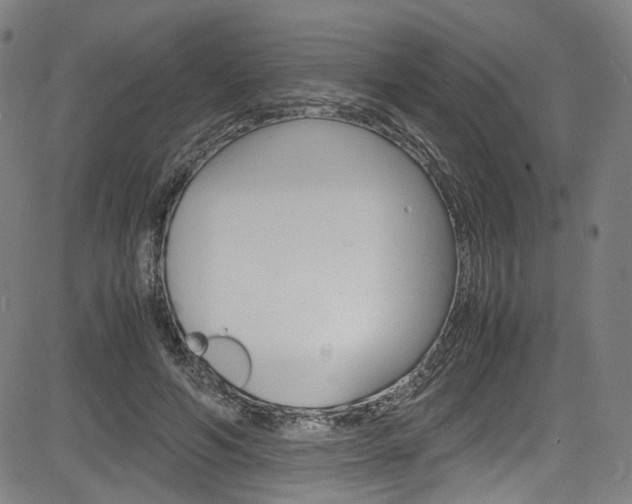 X0000085250594200703090949