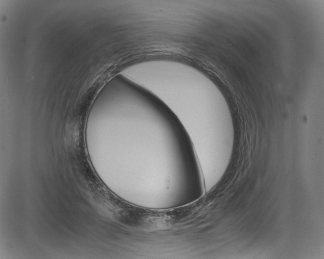 X0000085250595200703090949