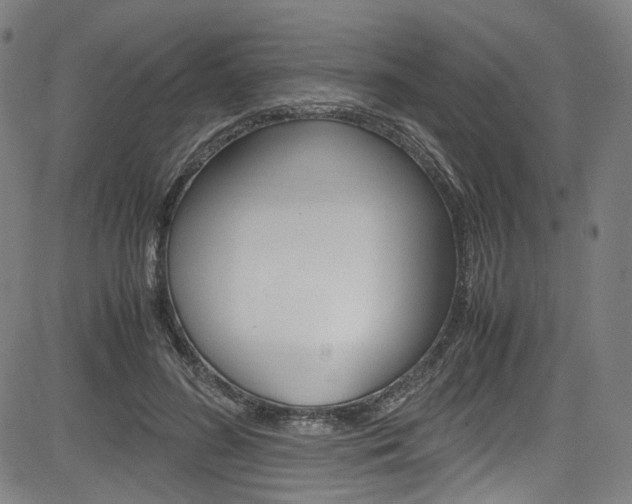 X0000085250596200703090949