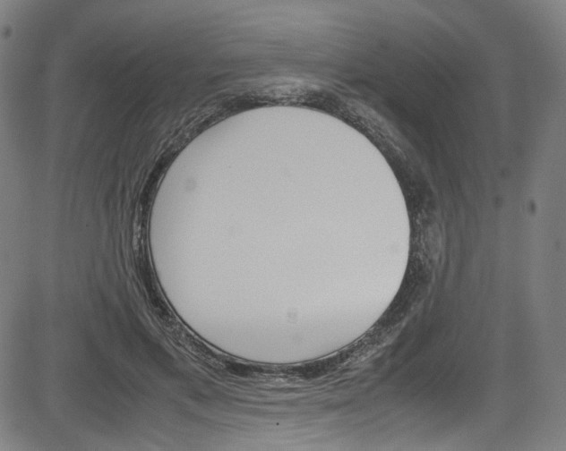 X0000085250597200703090949