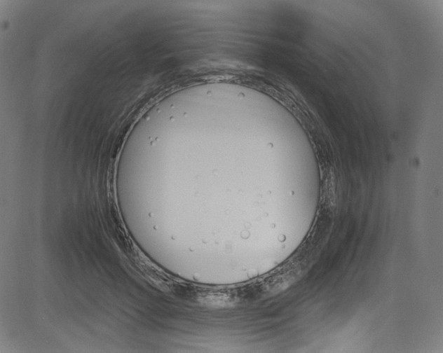 X0000085250598200703090949