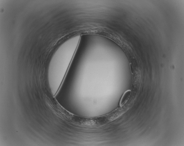 X0000085250600200703090949