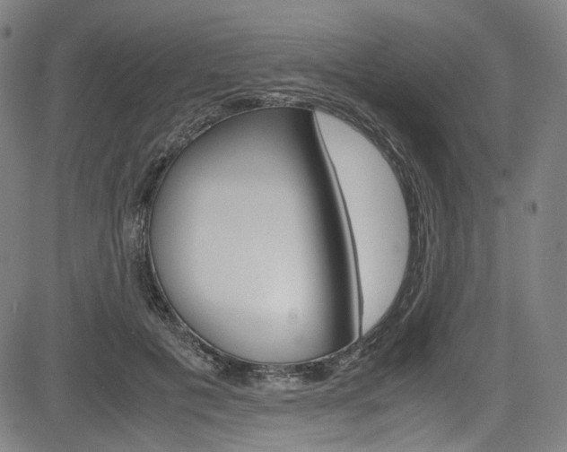 X0000085250601200703090949