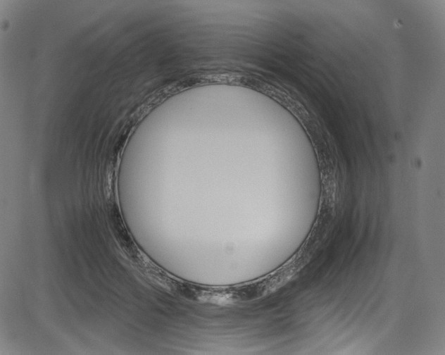 X0000085250602200703090949