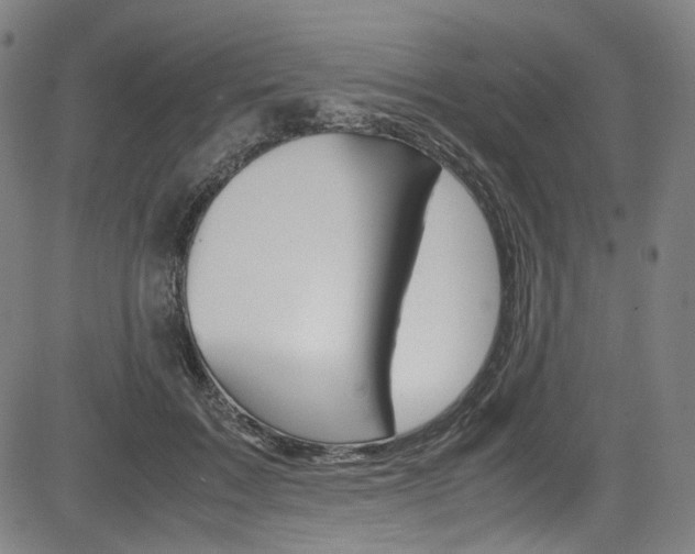 X0000085250603200703090949