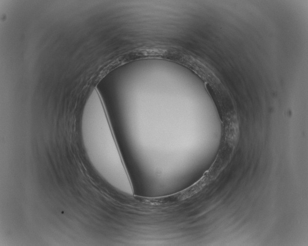 X0000085250604200703090949