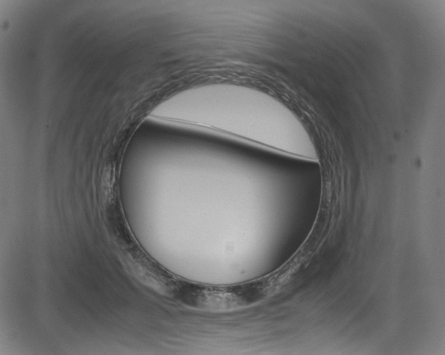 X0000085250605200703090949