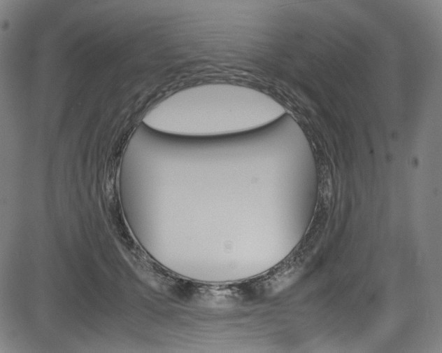 X0000085250607200703090949