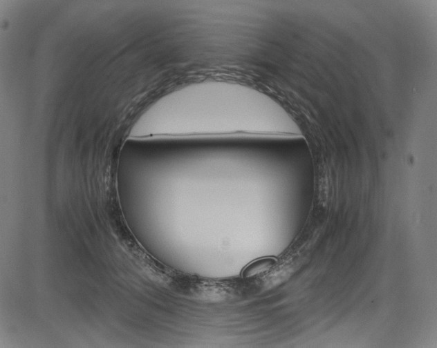 X0000085250608200703090949