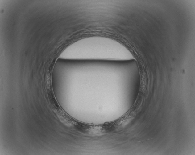 X0000085250609200703090949