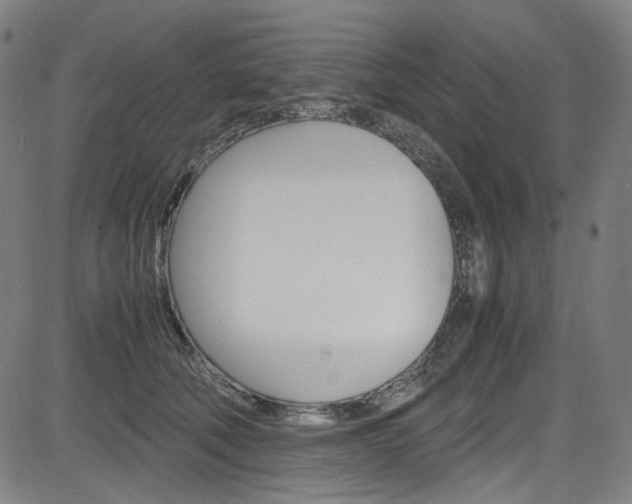 X0000085250610200703090949