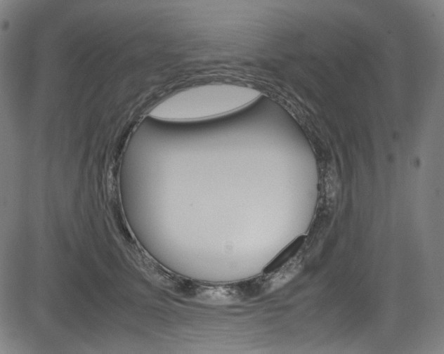 X0000085250611200703090949