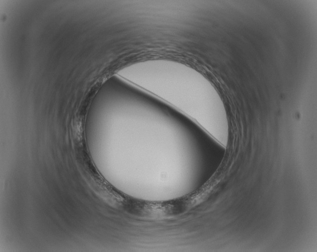 X0000085250613200703090949