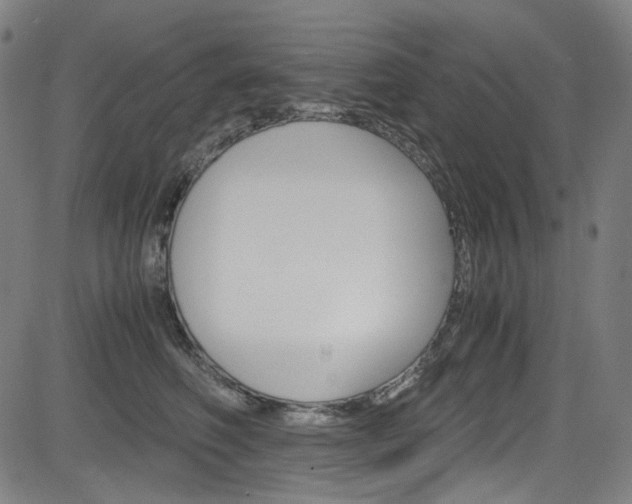 X0000085250614200703090949