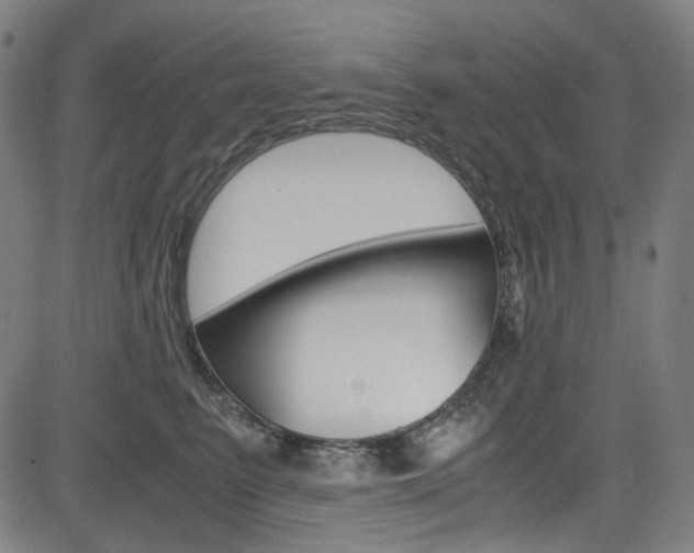 X0000085250615200703090949