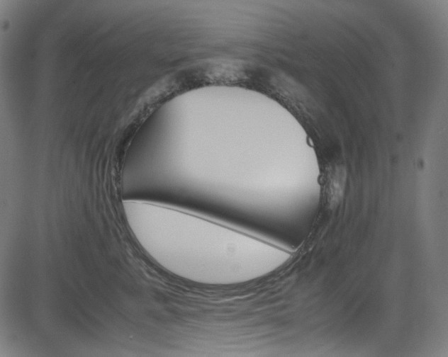 X0000085250619200703090949