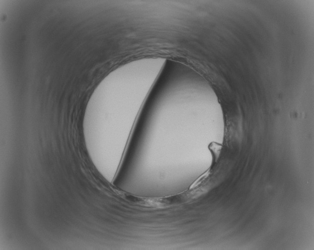 X0000085250623200703090949