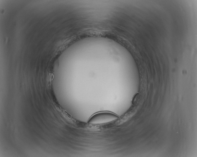 X0000085250624200703090949