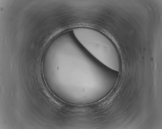 X0000085250625200703090948