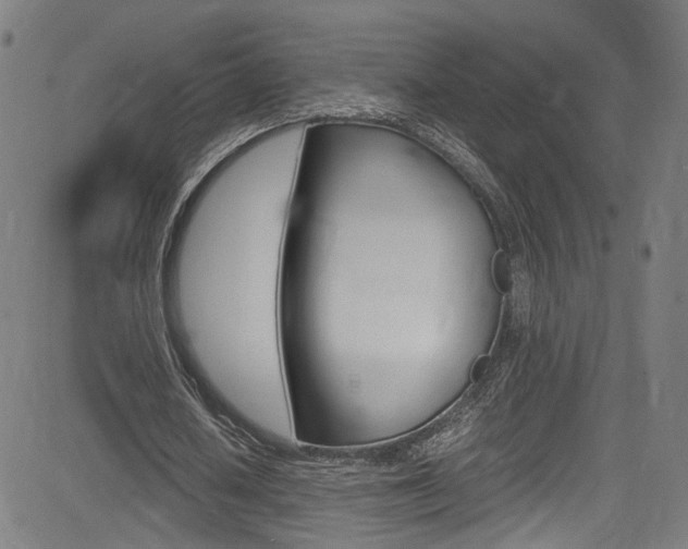 X0000085250626200703090948