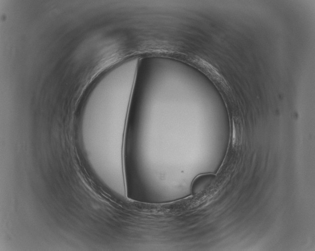 X0000085250627200703090948