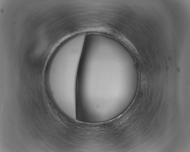 X0000085250628200703090948