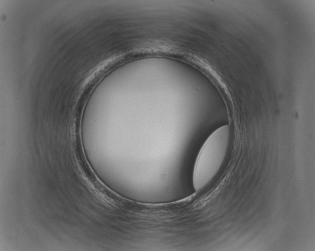 X0000085250629200703090948