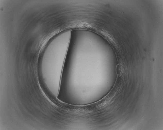 X0000085250630200703090948