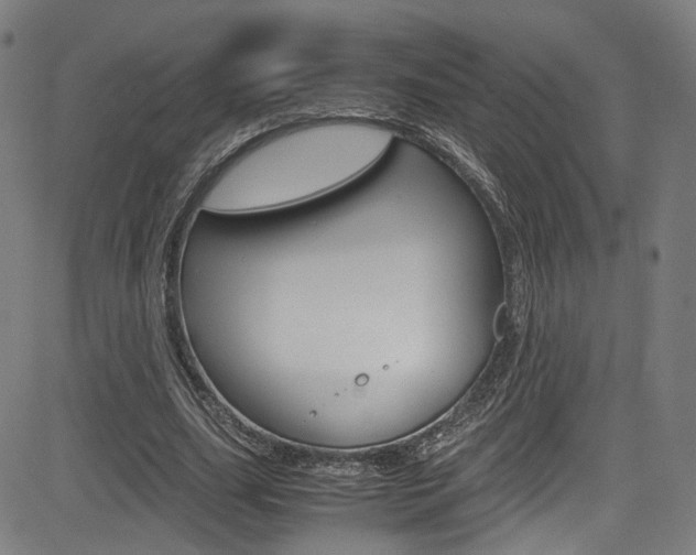 X0000085250631200703090948