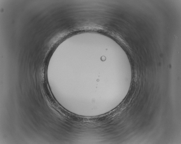 X0000085250632200703090948