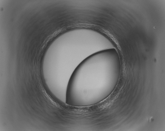 X0000085250633200703090948