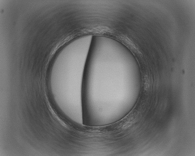 X0000085250634200703090948