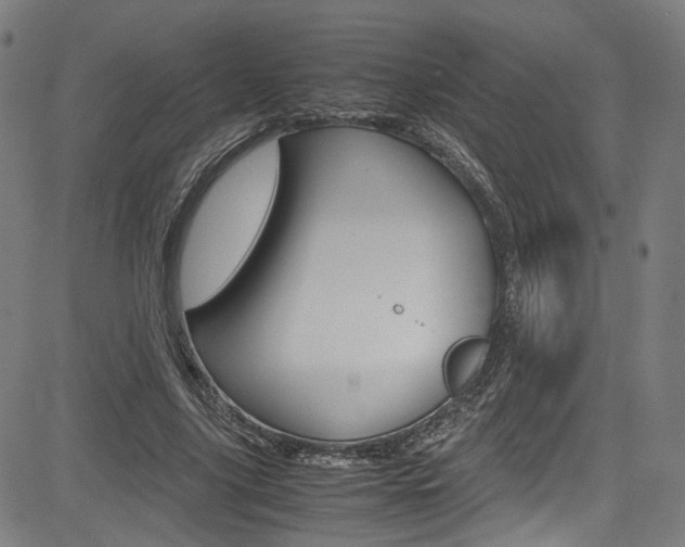 X0000085250635200703090948