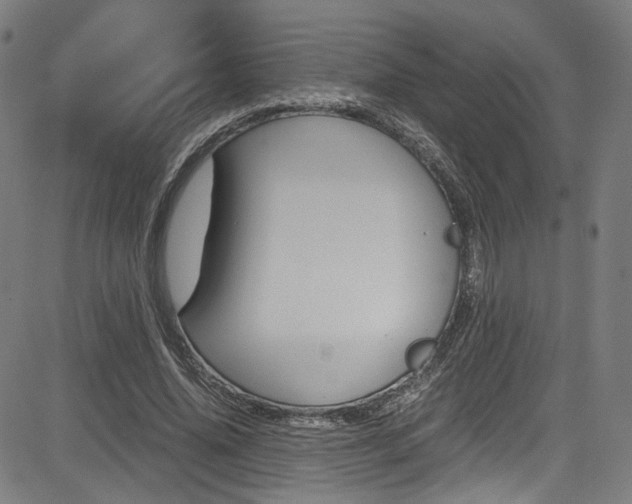 X0000085250636200703090948