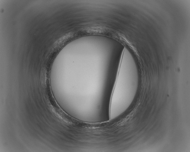 X0000085250637200703090948