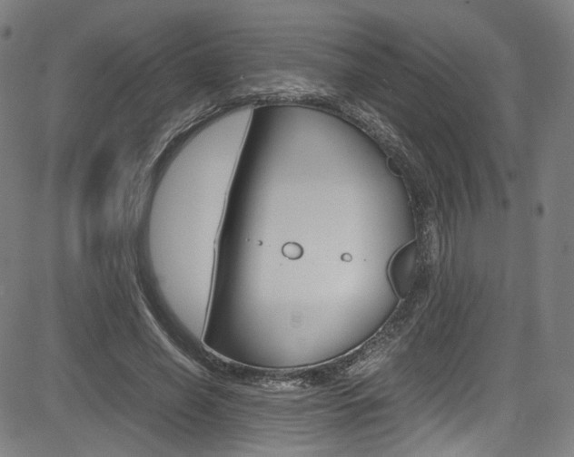 X0000085250638200703090948